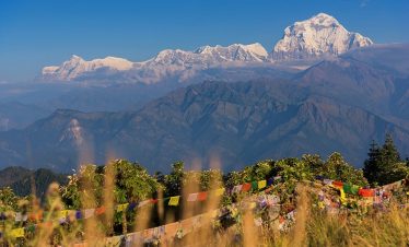 Ghorepani Poonhill Trek